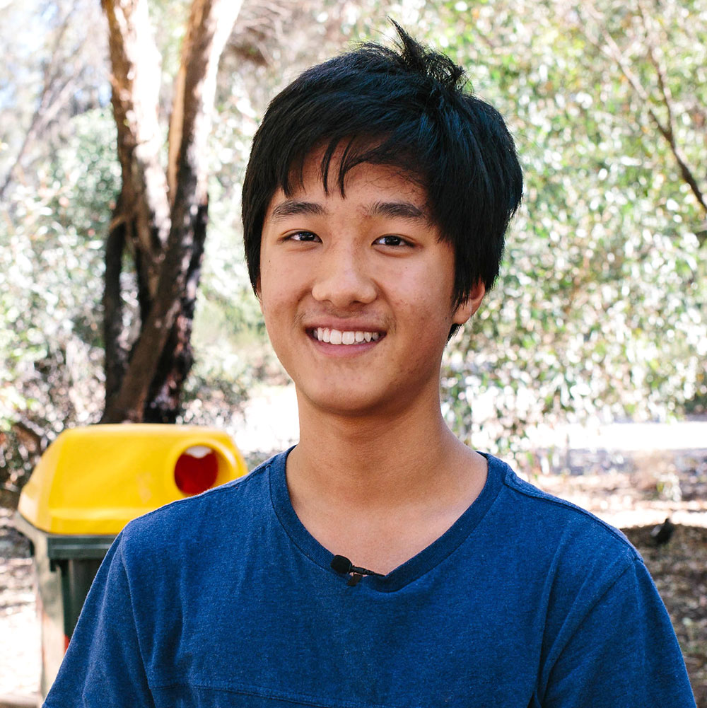 Hoang Portrait of a boy